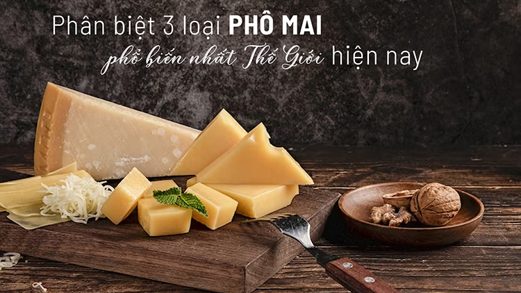 Phan Biet Phomai Anh Bia